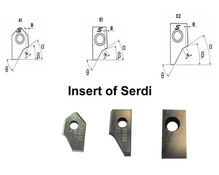 Insert of SERDI 